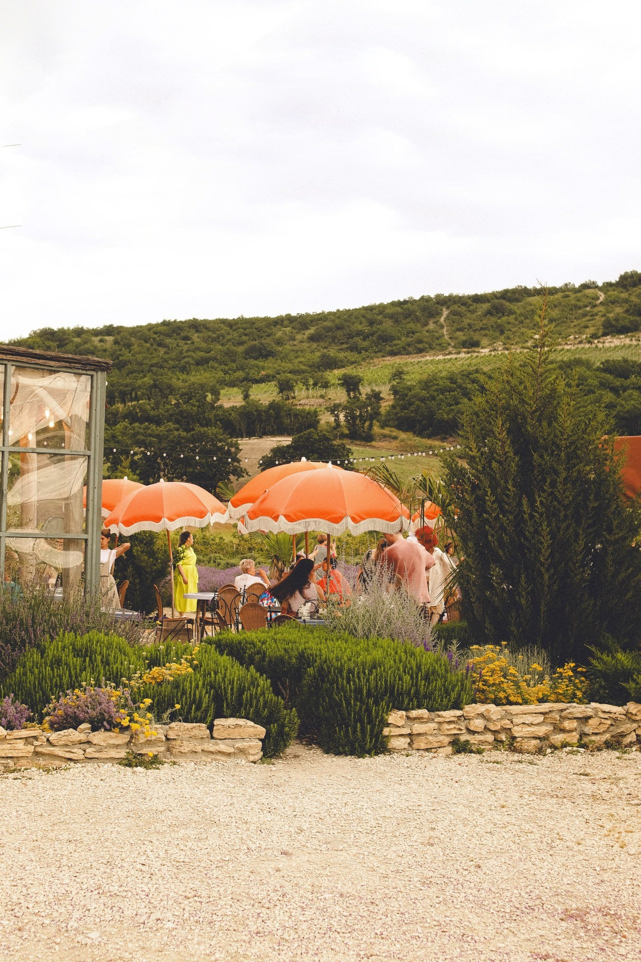 Отзывы. Я — фотограф, который помогает запечатлеть самые важные моменты вашей жизни!