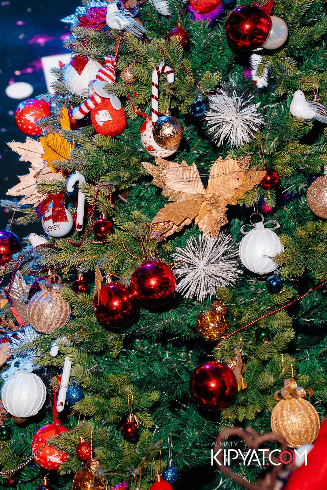 БАР ПАНАЕХАЛИ НА ТОЛЕ БИ. КИПЯТКОМ АЛМАТЫ!