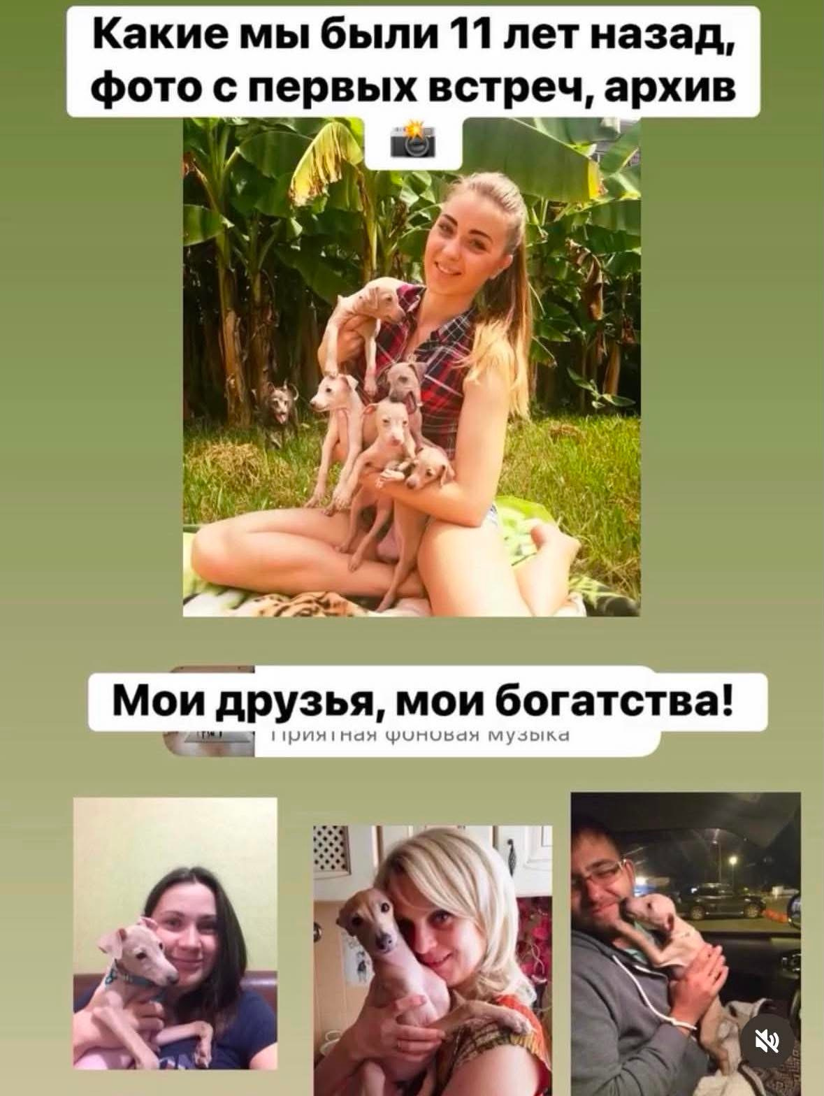 Наши ветераны-выпускники. Профессиональный питомник левреток РКФ/FCI ASTI SAPPHIRE 💎 Сочи|Санкт-Петербург