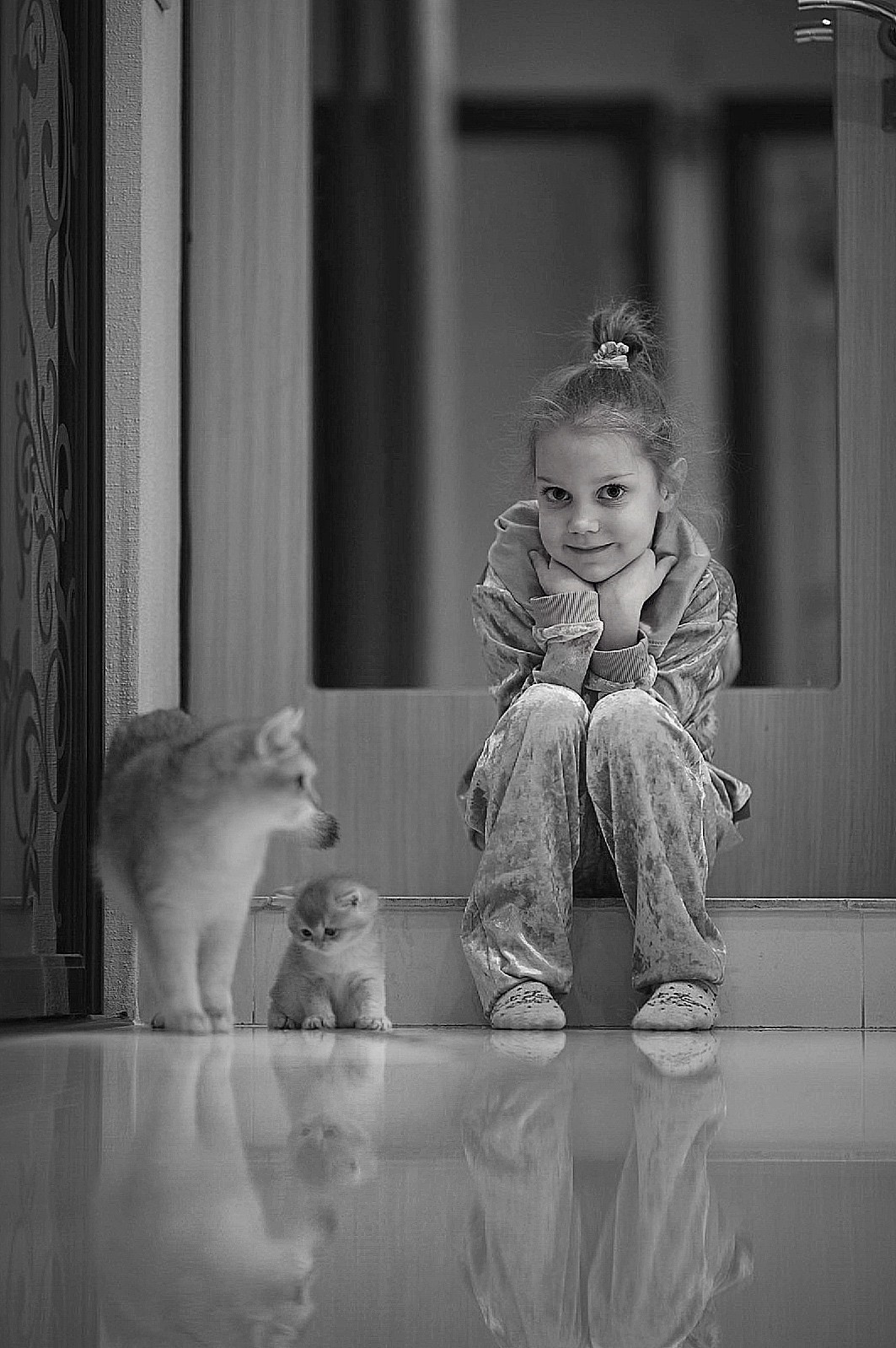 Зевс. Фотограф Ваших событий 📸