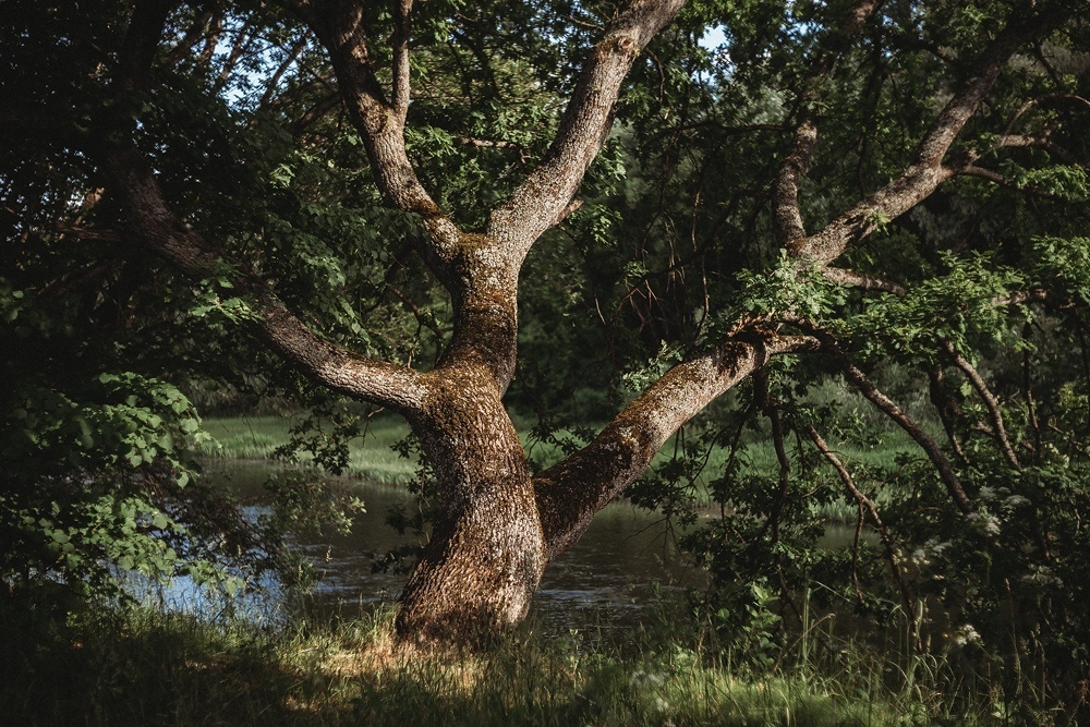 Хотылёво — одно из самых красивых мест для пейзажной фотосъемки. Фотоцентр Перспектива: выпускные альбомы, фотошкола, курсы фотографии