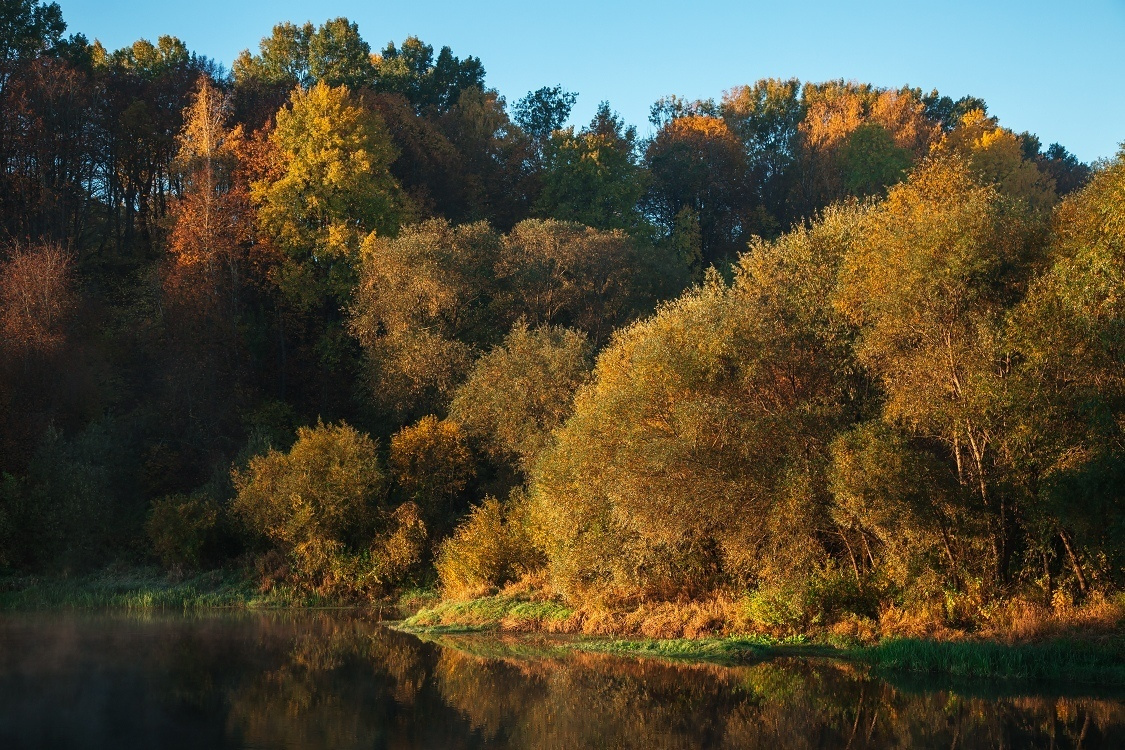 Хотылёво — одно из самых красивых мест для пейзажной фотосъемки. Фотоцентр Перспектива: выпускные альбомы, фотошкола, курсы фотографии