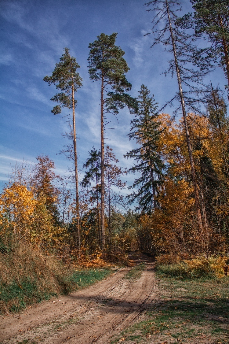 Фото - Надежда Гончарова - 25-я группа фотошколы - https://vk.com/phnadezhdagoncharova