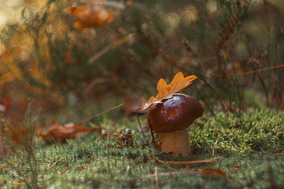 Фото - Надежда Гончарова - 25-я группа фотошколы - https://vk.com/phnadezhdagoncharova