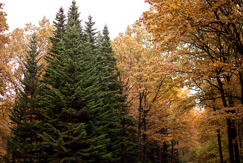 Природа город улица пейзаж урбан стрит urban city ature. •fpsmax• фотограф-ретушер