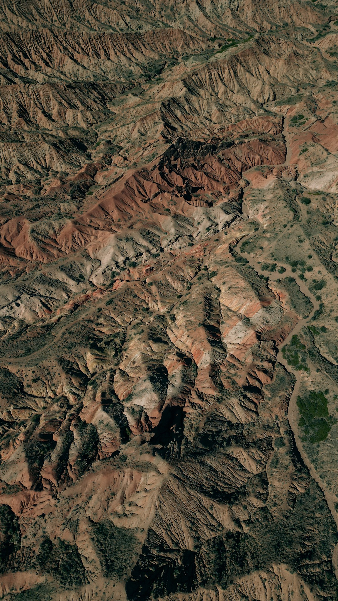 Кыргызстан. Человек с фотокамерой