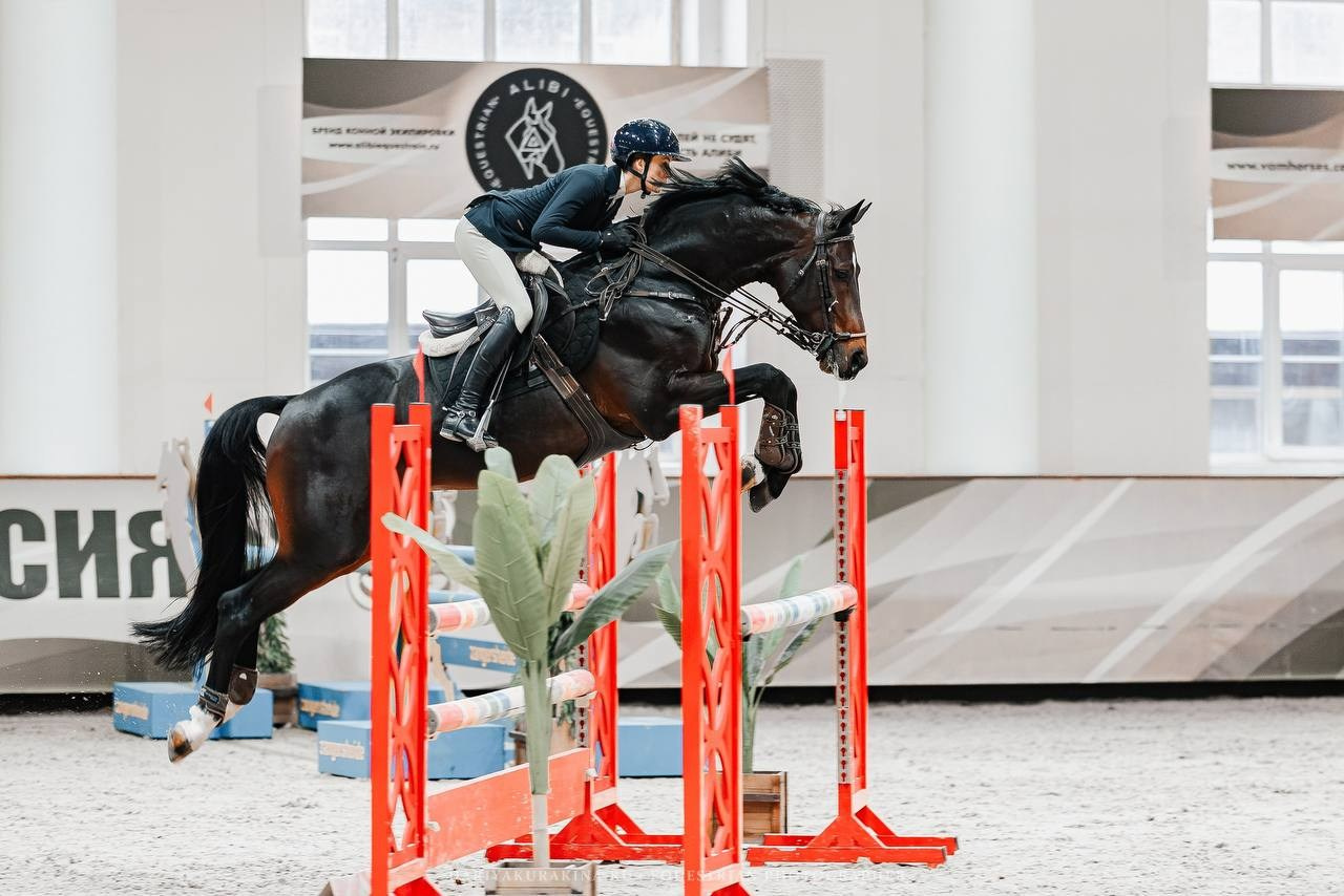 ЗИМНИЙ КУБОК ФЕДЕРАЦИИ КОННОГО СПОРТА ГОРОДА МОСКВЫ. Куракина Дарья • Конный фотограф