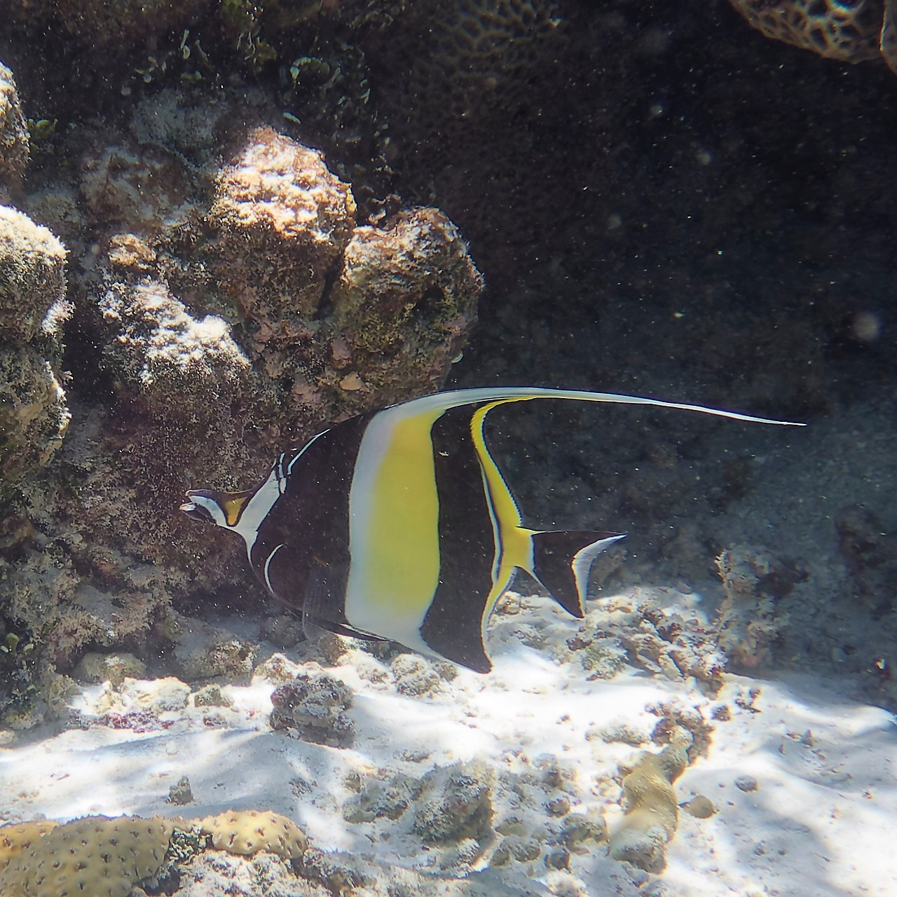 Мне посмотреть. Рыбов показываю