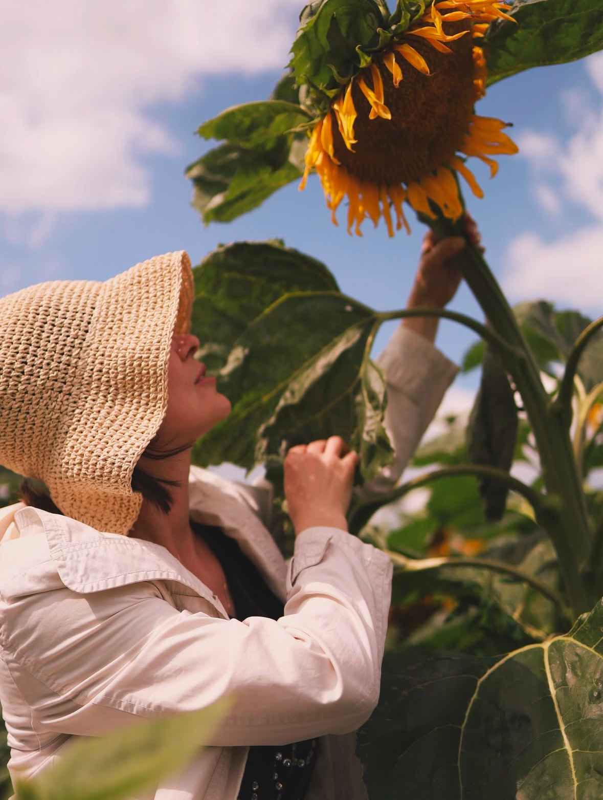 Подсолнухи. Семейный и свадебный фотограф в Минске Юлия Грин