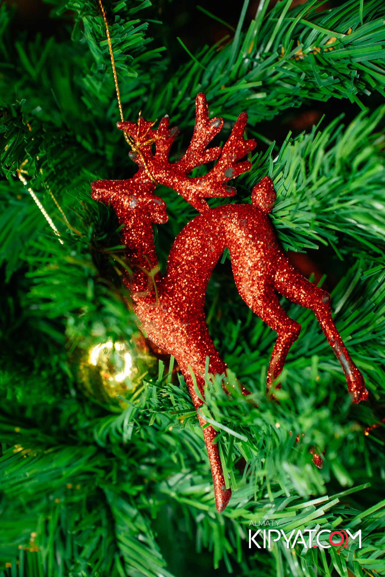 РЕСТОРАН МЦХЕТА. КИПЯТКОМ АЛМАТЫ!