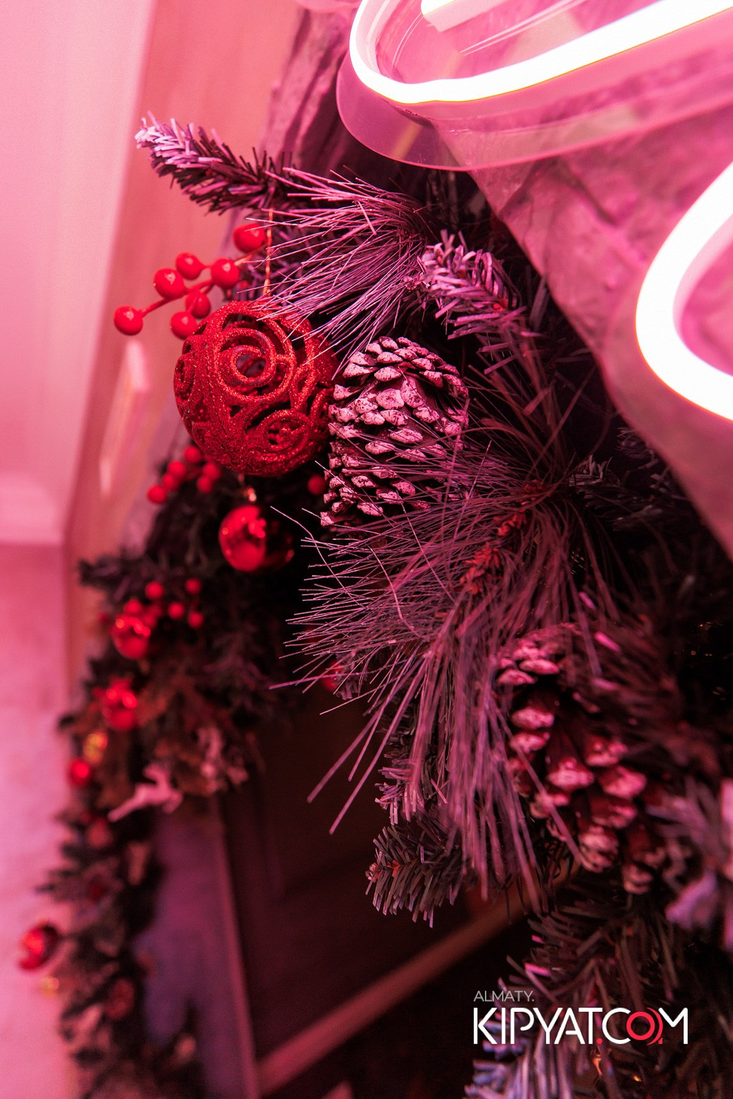 УХО И МЕДВЕДЬ НА КУРМАНГАЗЫ. КИПЯТКОМ АЛМАТЫ!