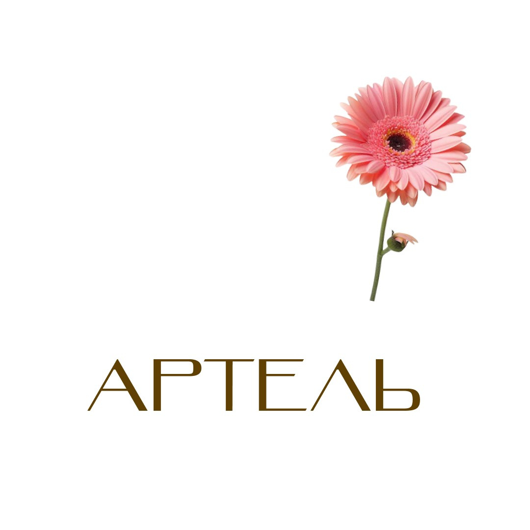 Артель. Art direction & Design | Curiosa