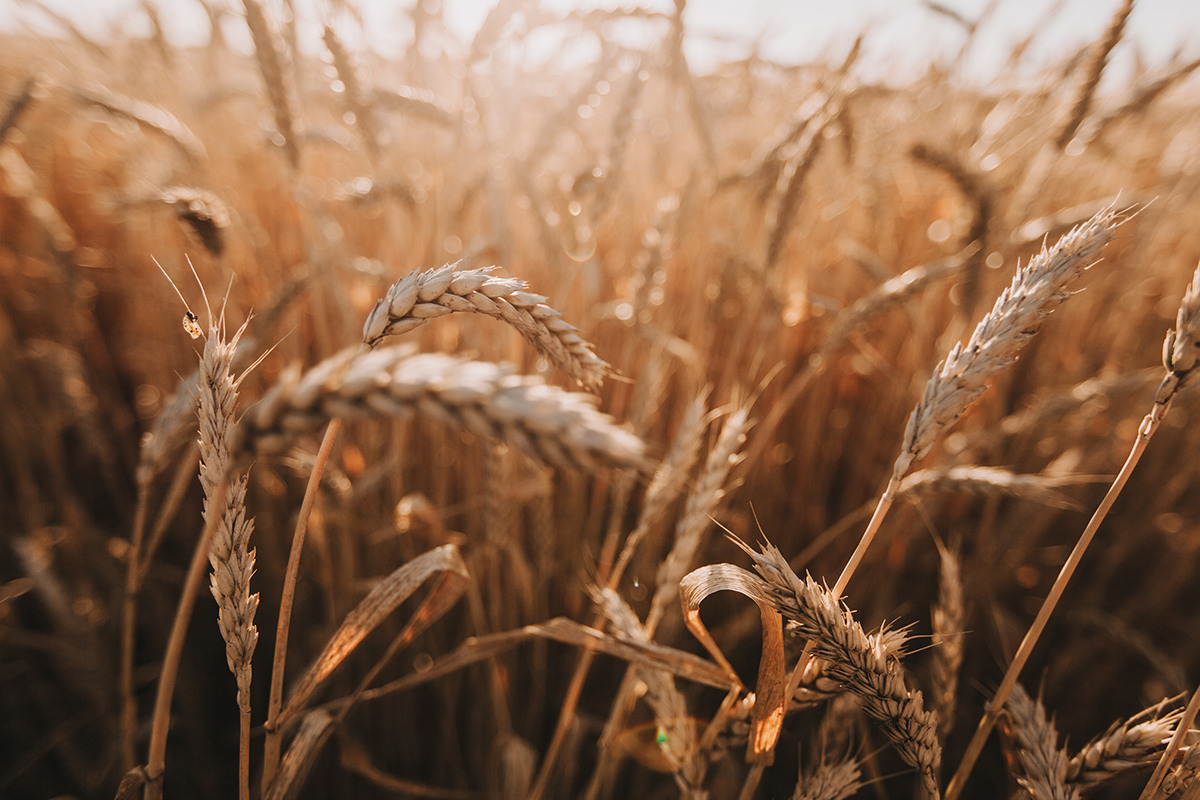 ☀️. Семейный фотограф в Белгороде Аня Никифорова