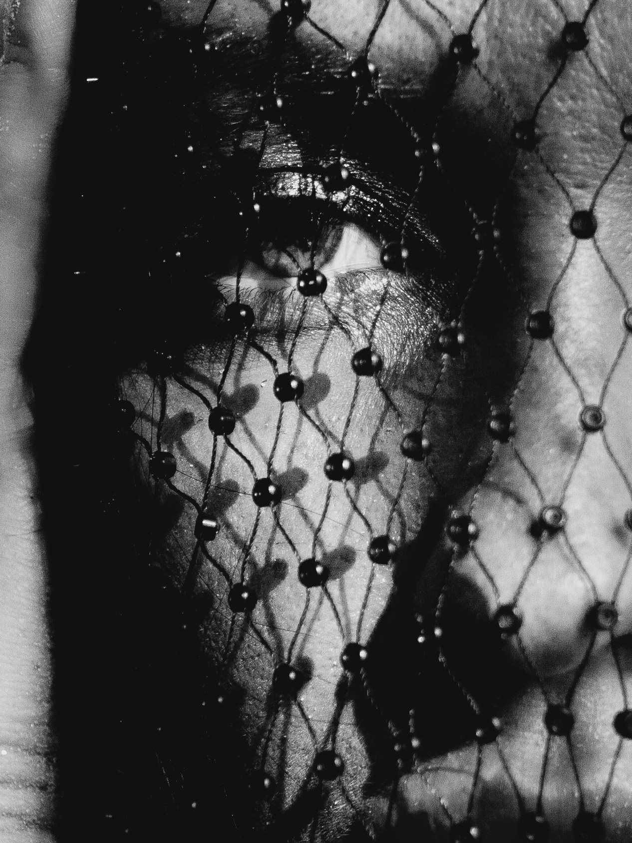 Портрет. Lisphoto.ru