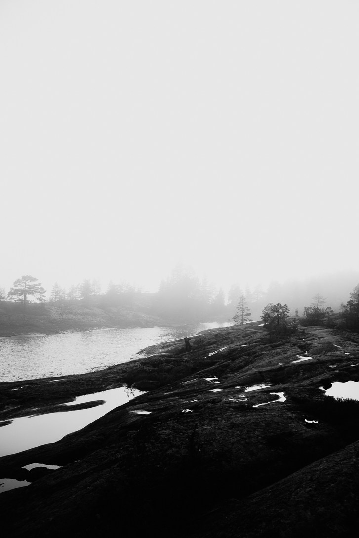 Постер. Lisphoto.ru