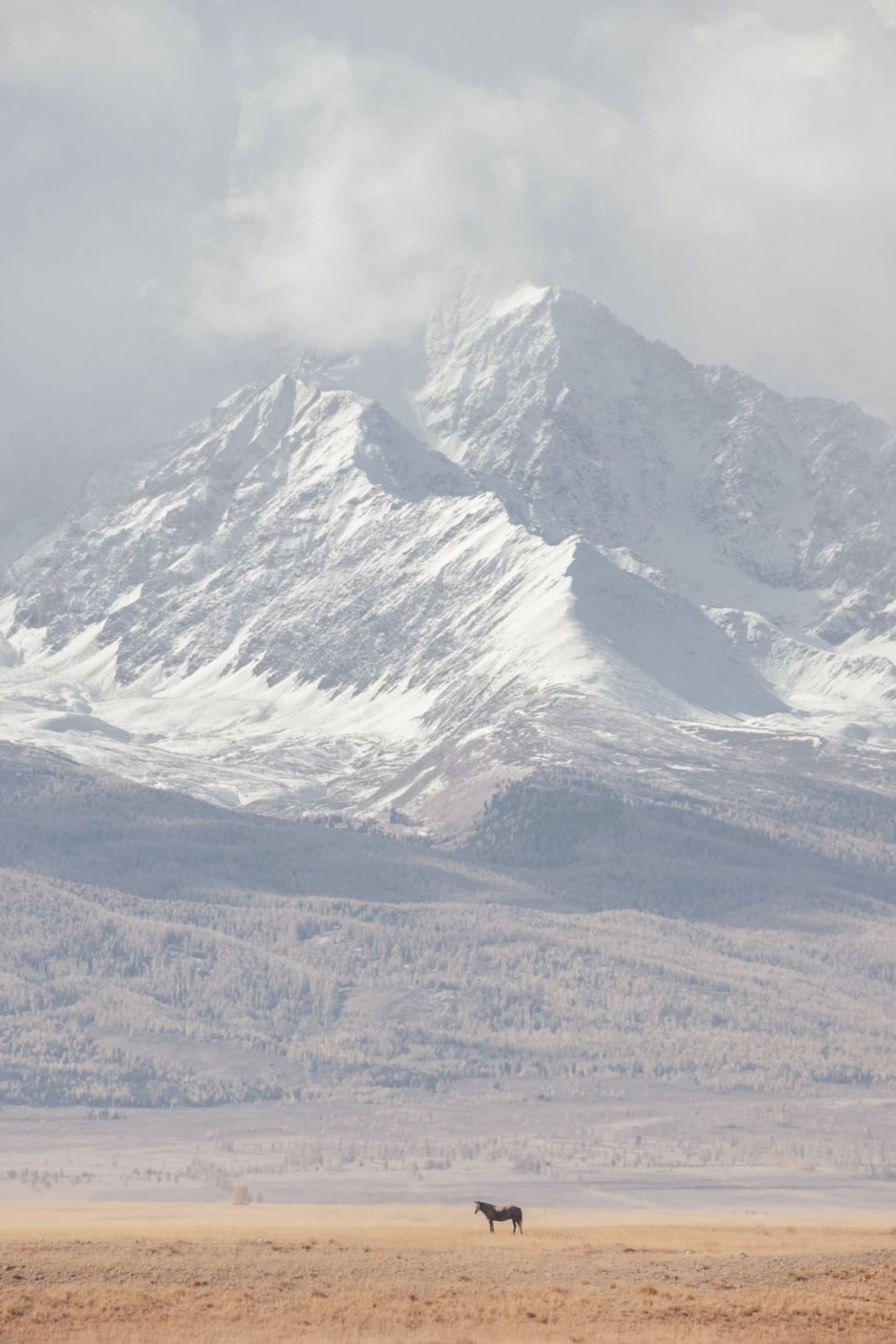 Altai Dream — personal project of photographer Vadim Sherbakov. Vadim Sherbakov Portfolio