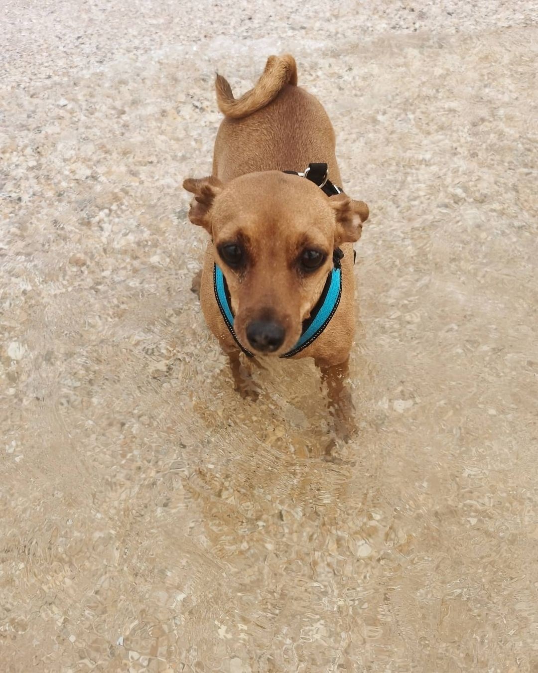 Anka`s Instagram. Заставка