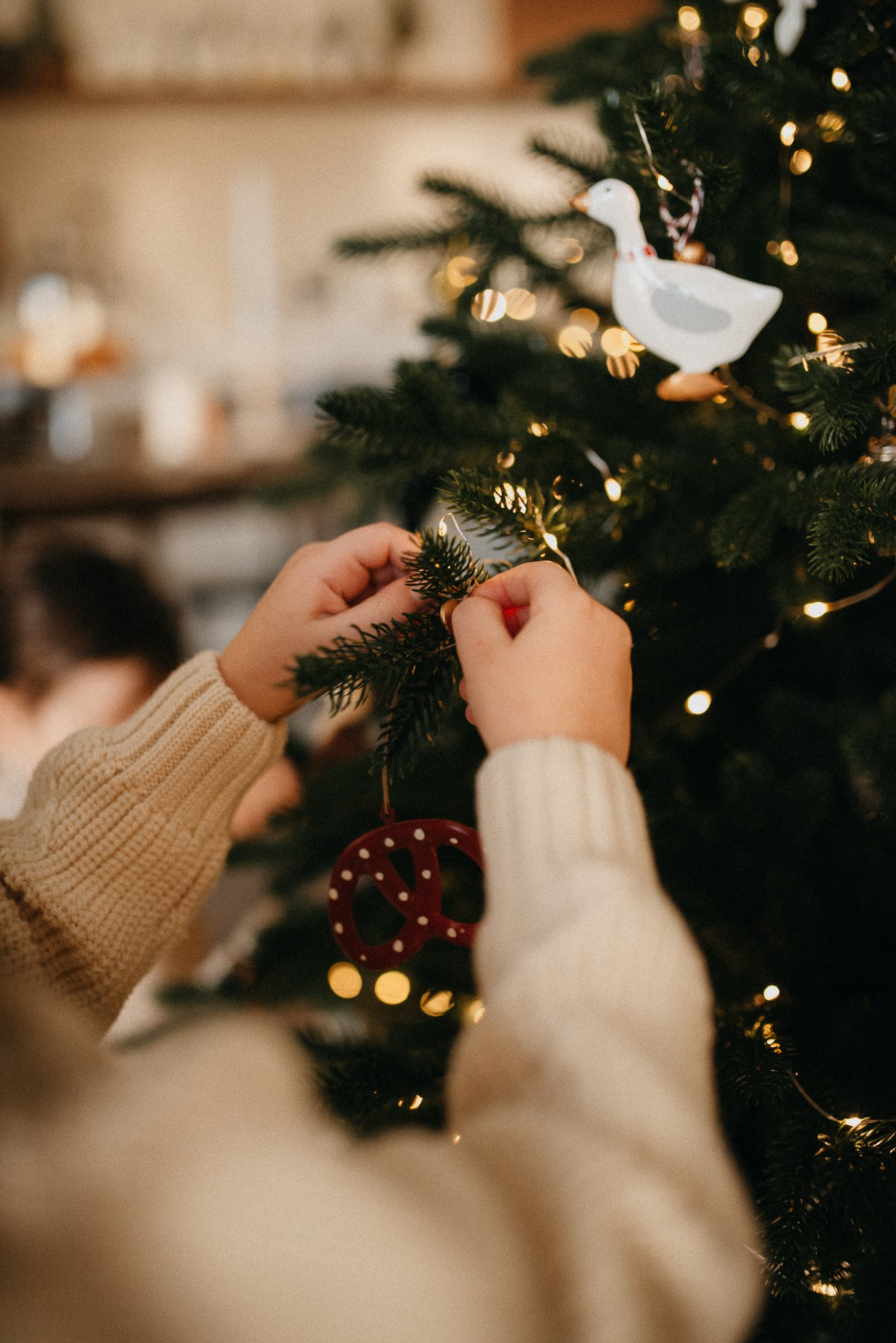 Запах печенек | дома