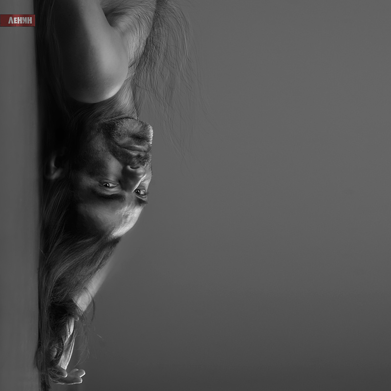 Cocoon.... Сергей Ленин