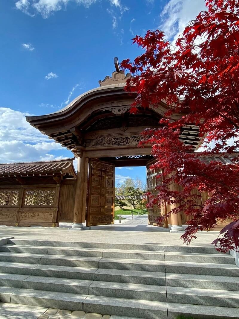 КРАСНОДАР. Свадебный и семейный фотограф/видеограф в Краснодаре Наталья Осинская