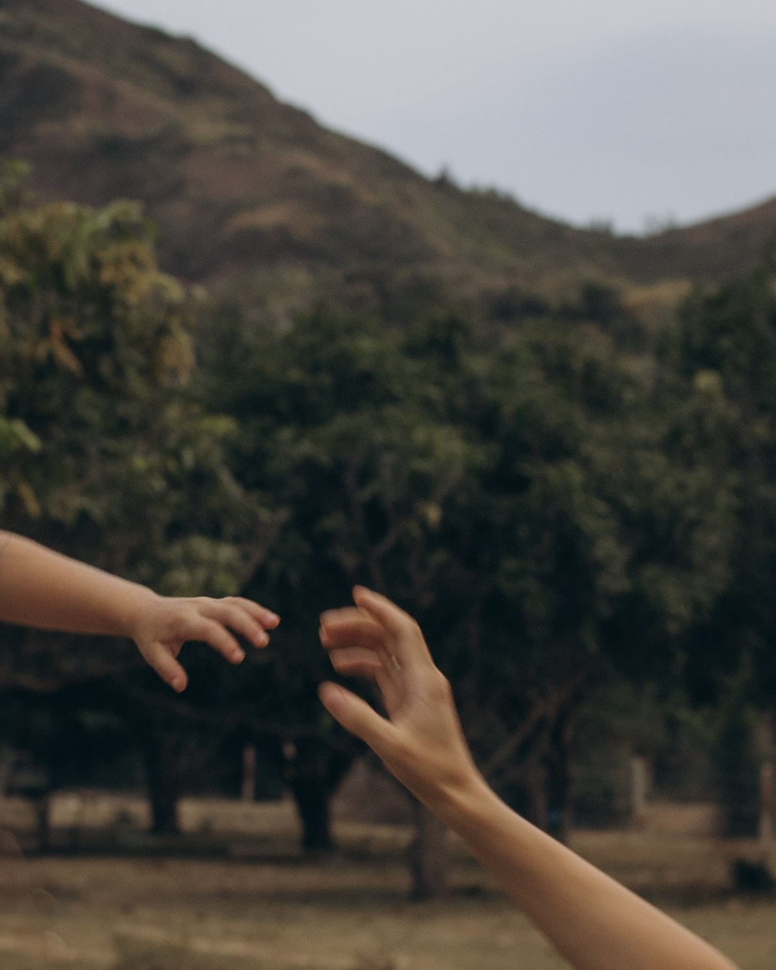 Семья Пискаревых в манго саду.Нячанг. Главная