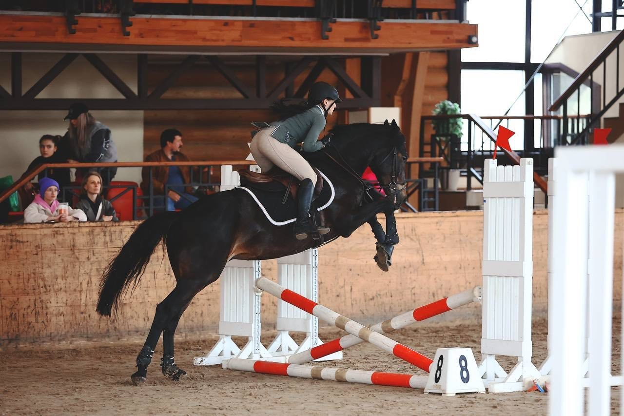 Фотосессия с лошадью в коншне в Москве