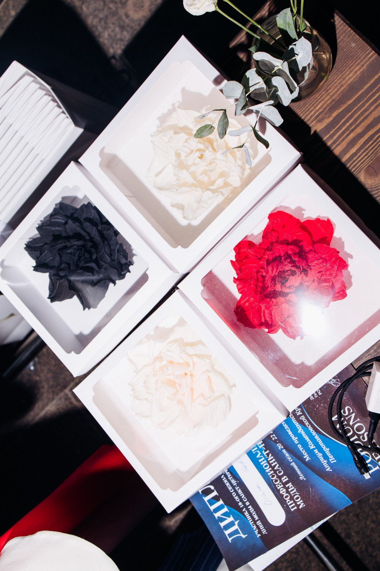 Podium seasons. VICTORIA SHU