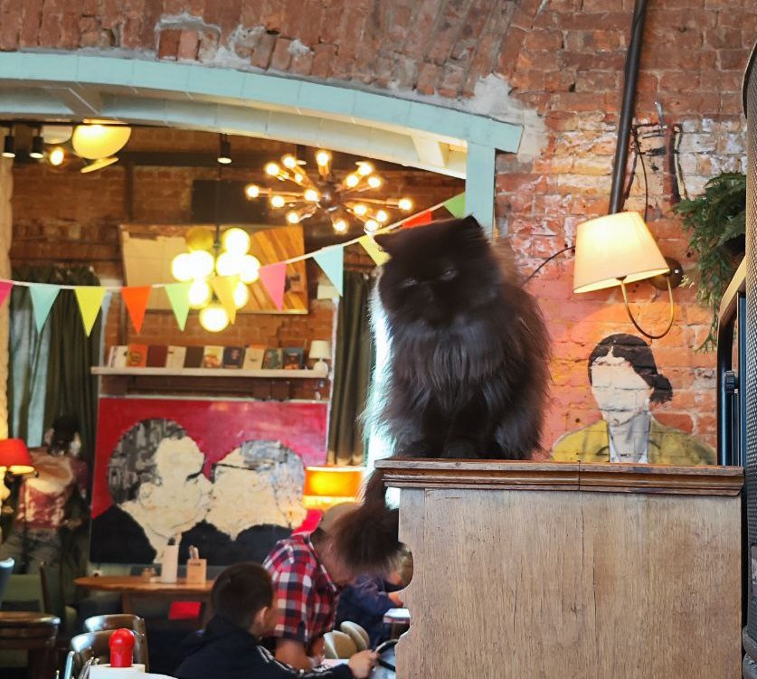 Natalya Konteyeva photographer