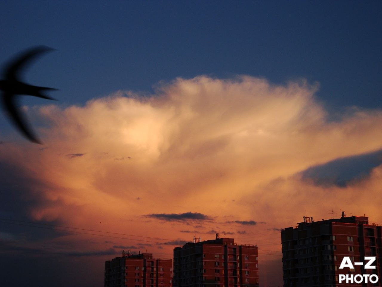 #ФОТОНЕДЕЛИ 29.06.2026