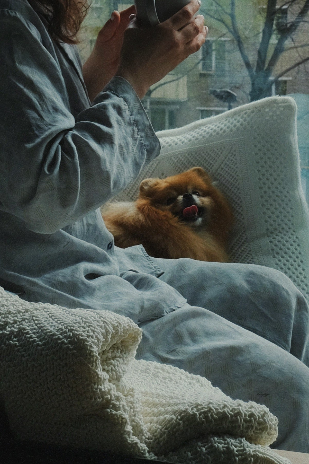 Дома. Татьян гертье