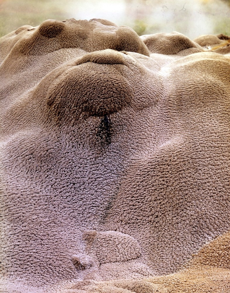 Гейзериты гейзера Тройного. 1969г