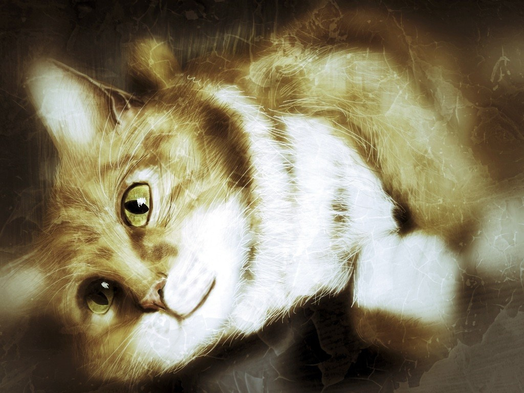 Графика и иллюстрации. IS — Игорь Сержант | Фотография и рисунок