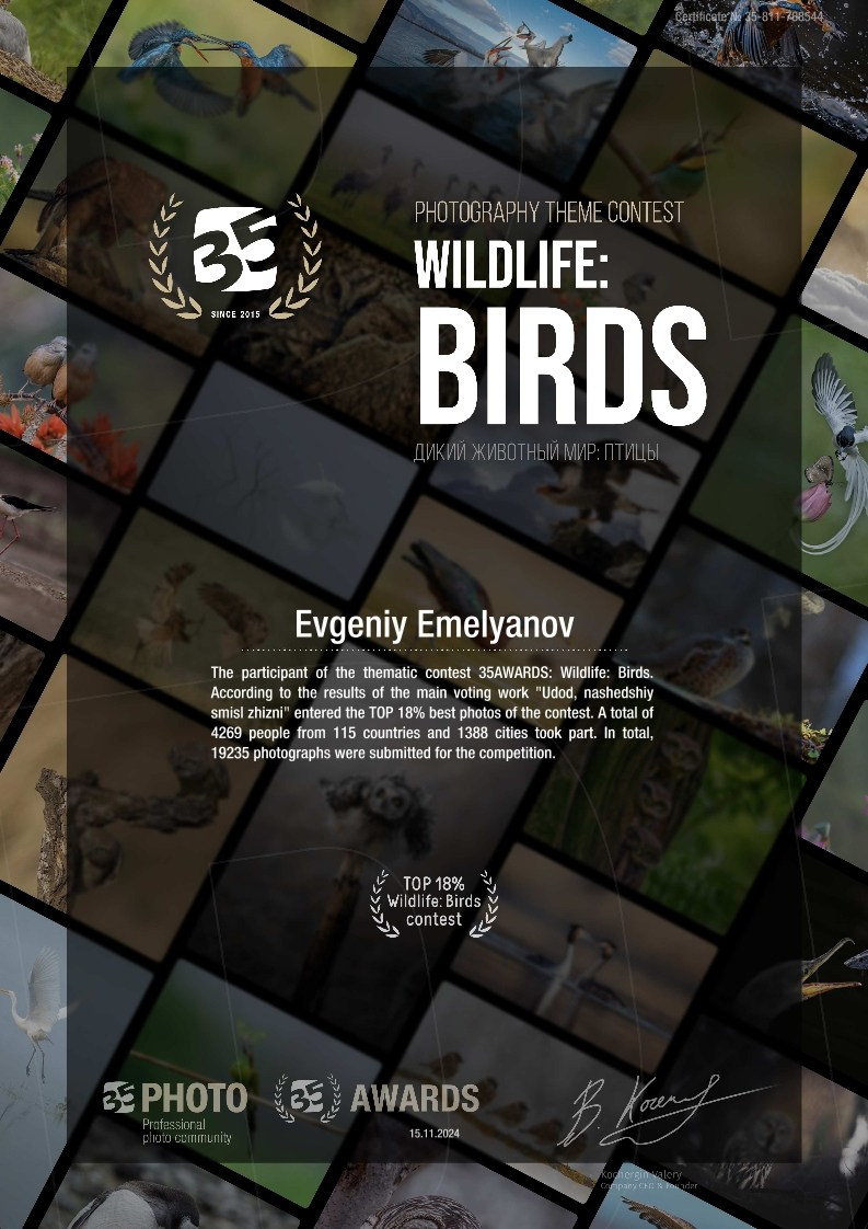 35 Awards. Фотопрогулки по Миру