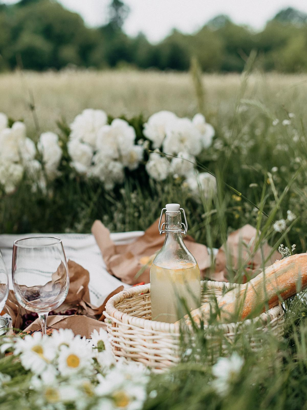 Муравьи!. Коммерческий фотограф в Брянске Ольга Вороная