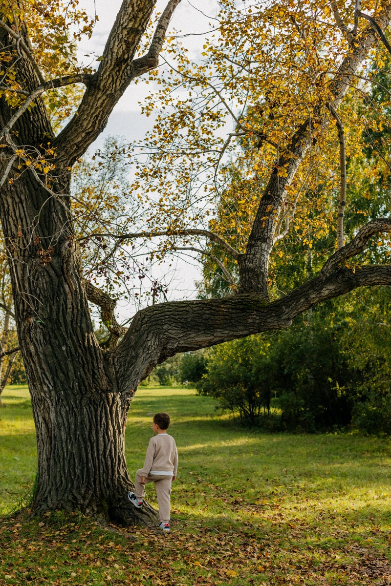 Осень. Фотограф Подсумкина Ирина