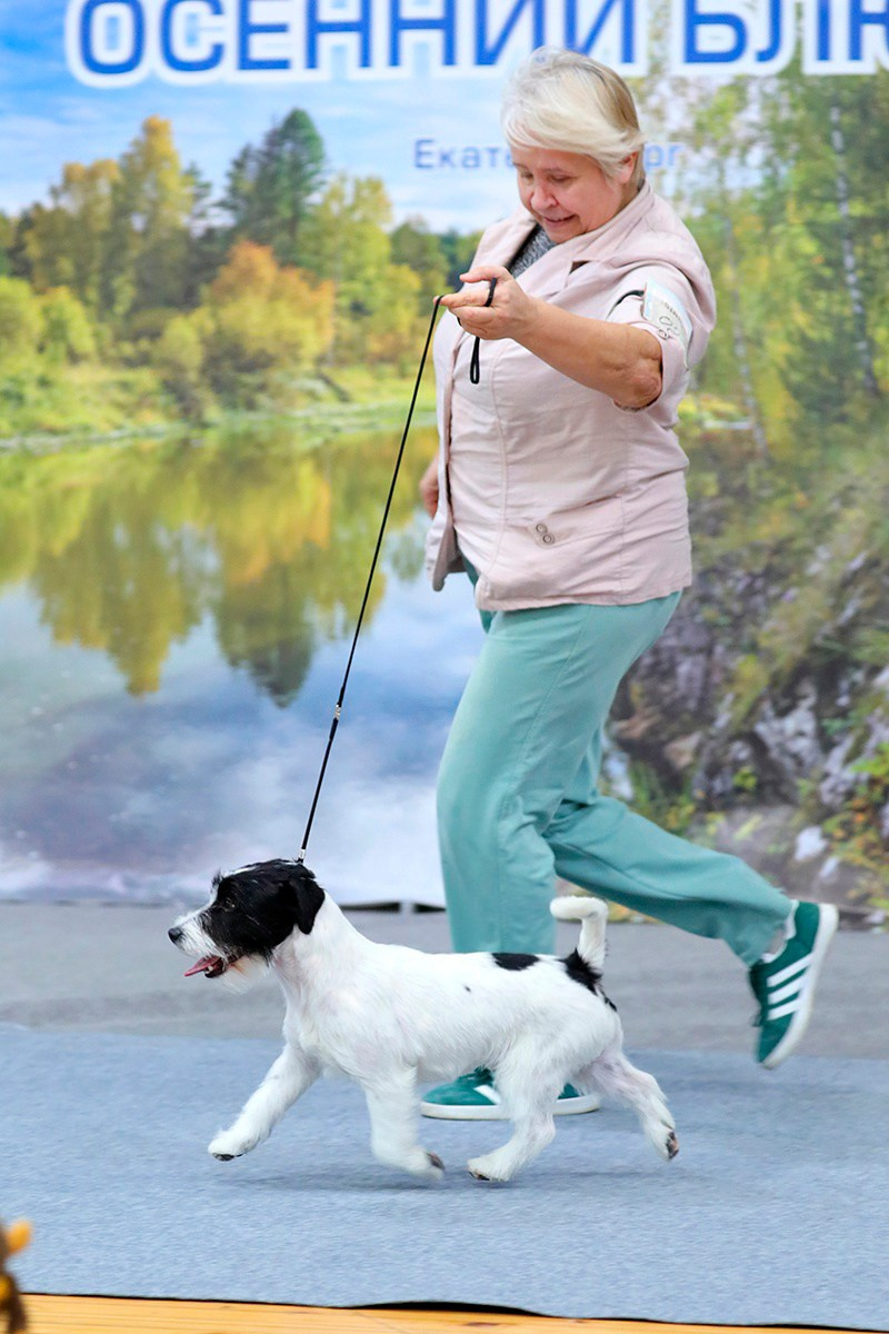 Port Fortis Play Boy