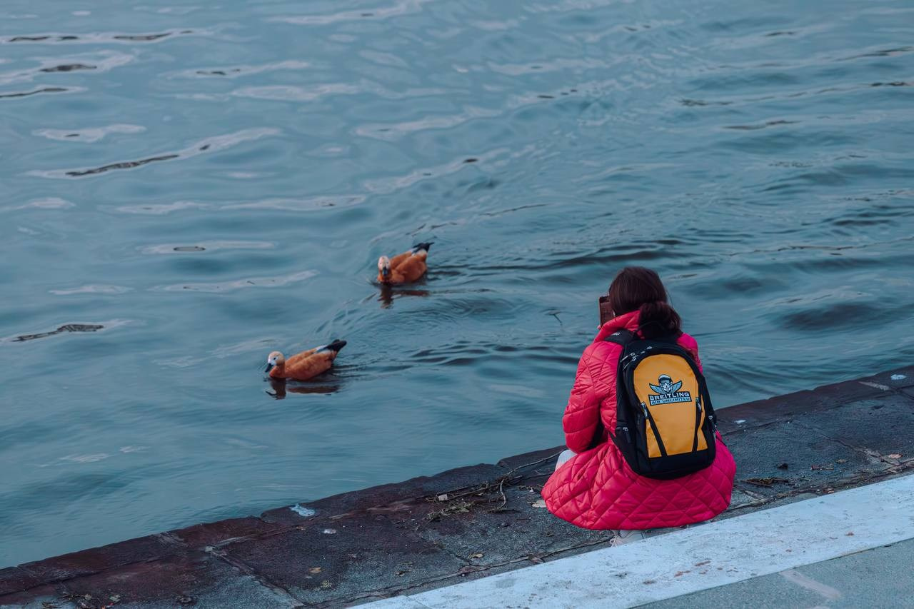Пейзажи и город