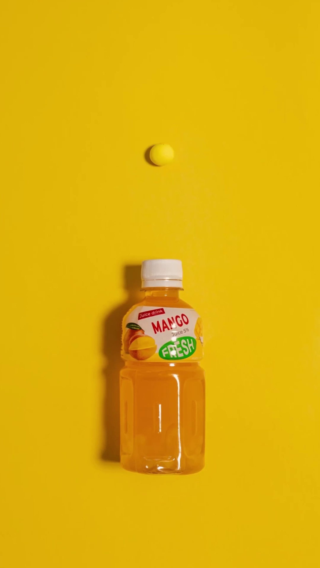 Stop motion анимация. Фотограф и motion аниматор Екатерина Синевич