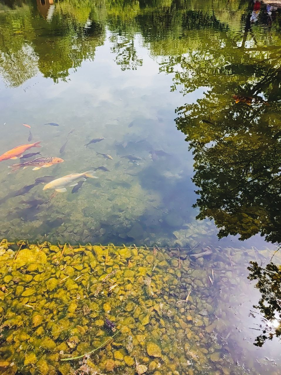 Намобилкус казахский. Репортажный фотограф Алексей Пирязев