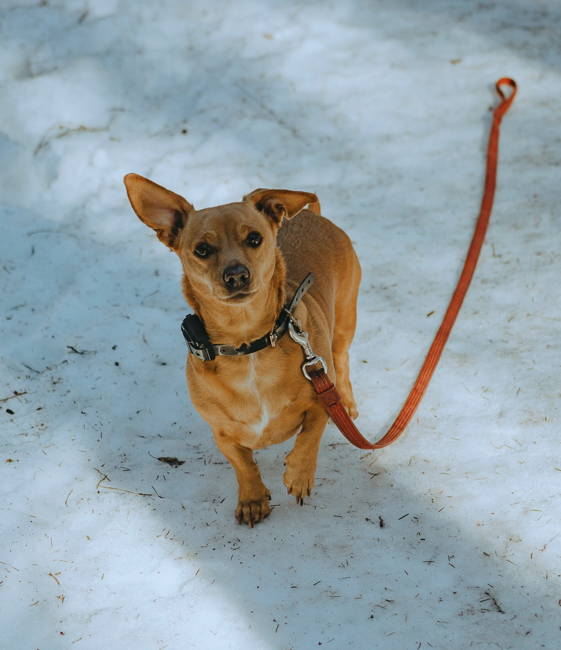 Март 2024. Фотограф в Москве Алиса Ридель