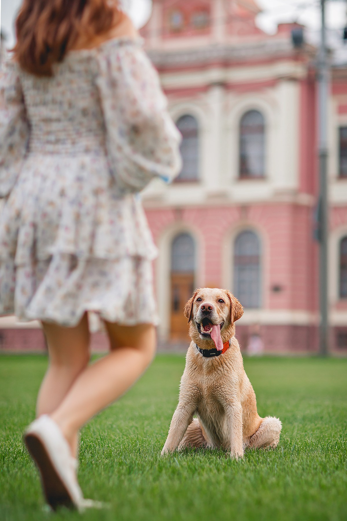 Костик, Валерия и Сергей. Семейный фотограф анималист Мария Крючкова