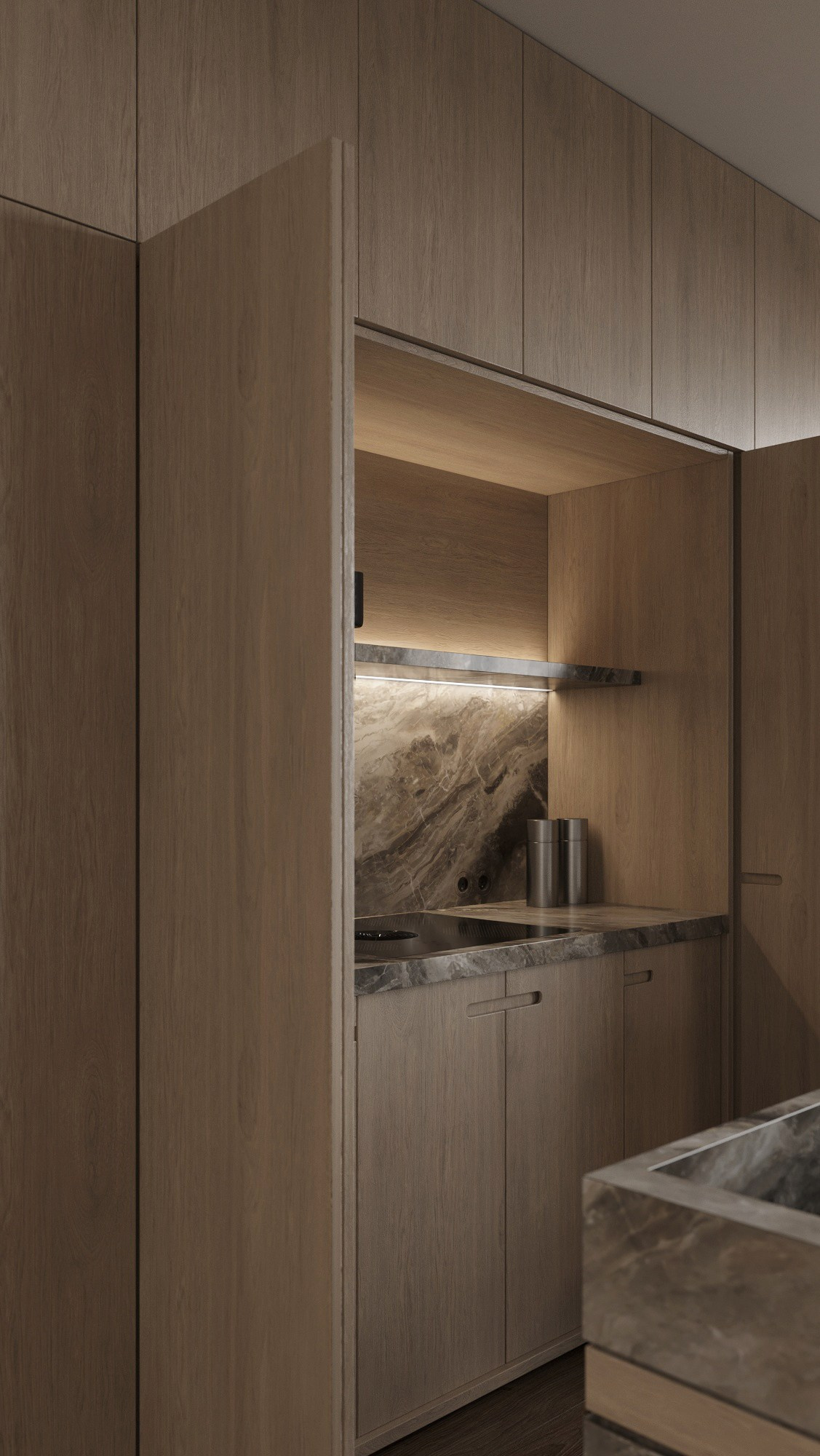 Алматы. Дизайн Ксения Жарко. 3D визуализатор интерьеров Ксения Жарко