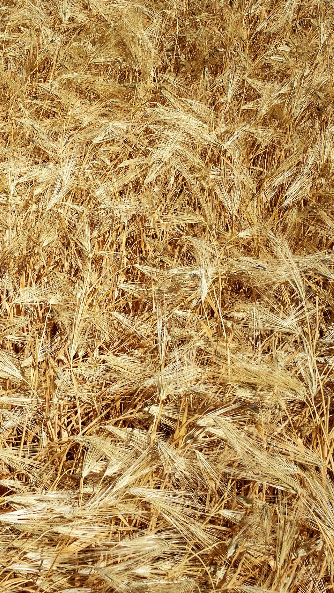 Обои — Текстуры. Яркие фото на Чёрном море