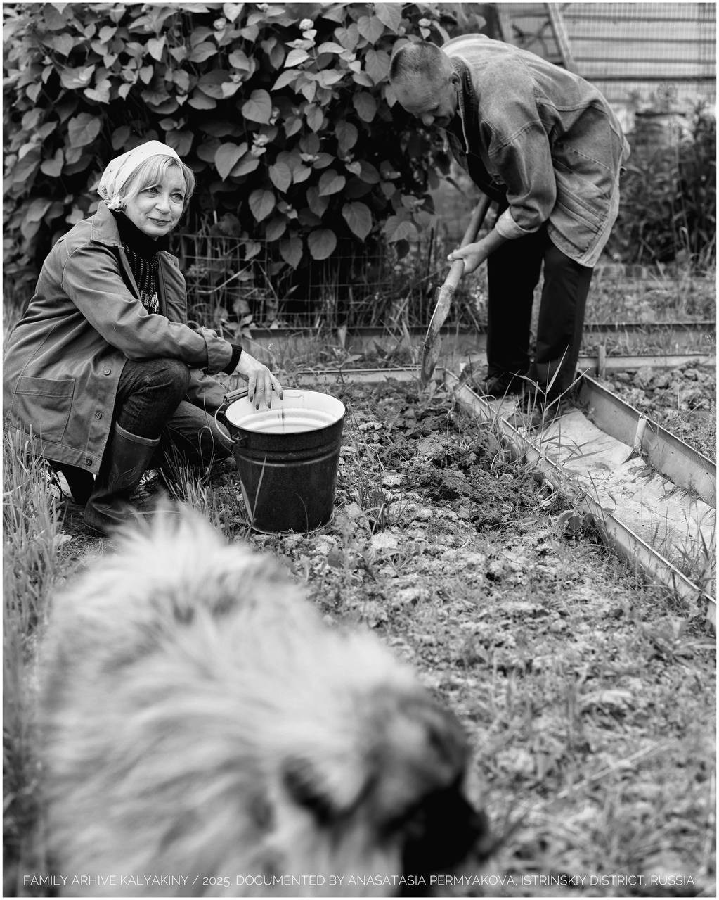 Kalyakiny / june 2025. Фотограф Москва | Anastasia Permyakova