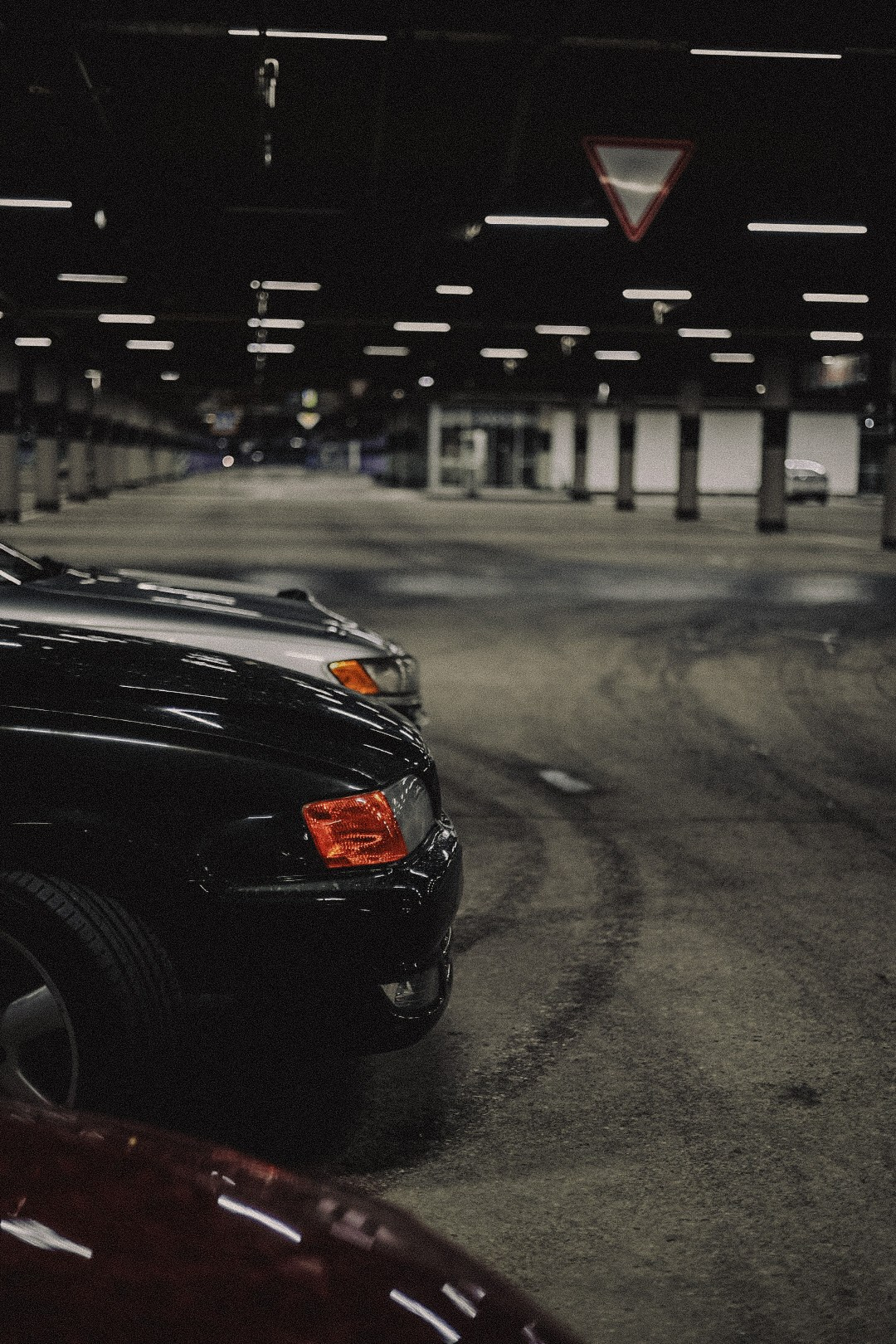 Сходки. Семейный фотограф Полина Легачева