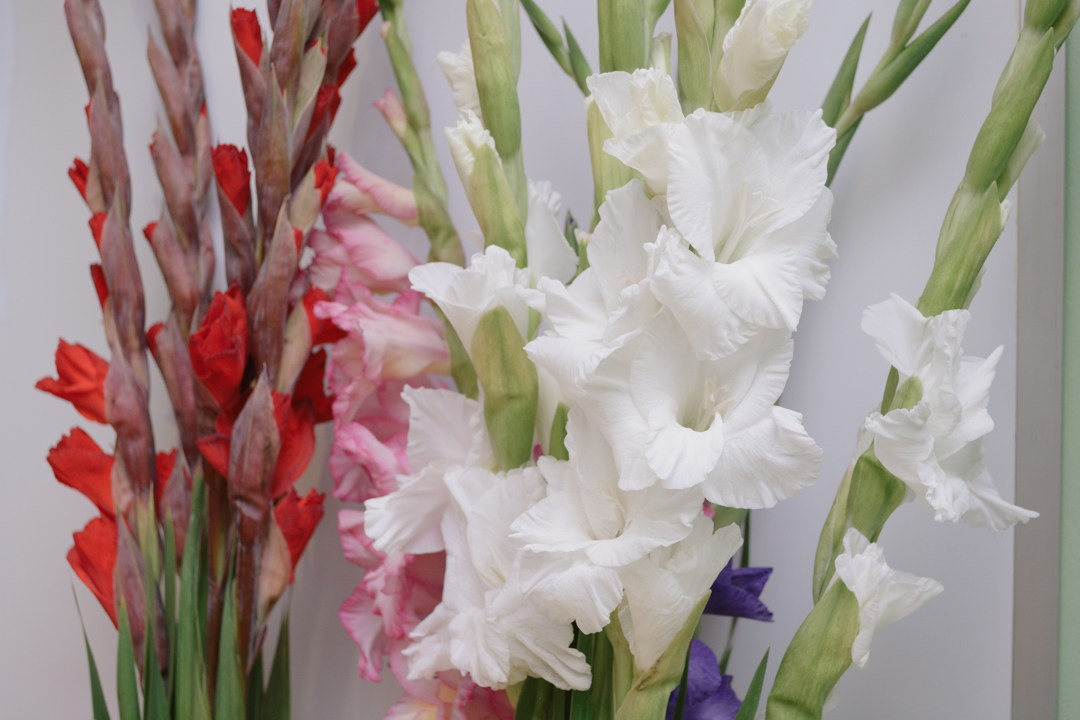 Репортаж. Семейный и детский фотограф в Москве — Даша ФотоИстории