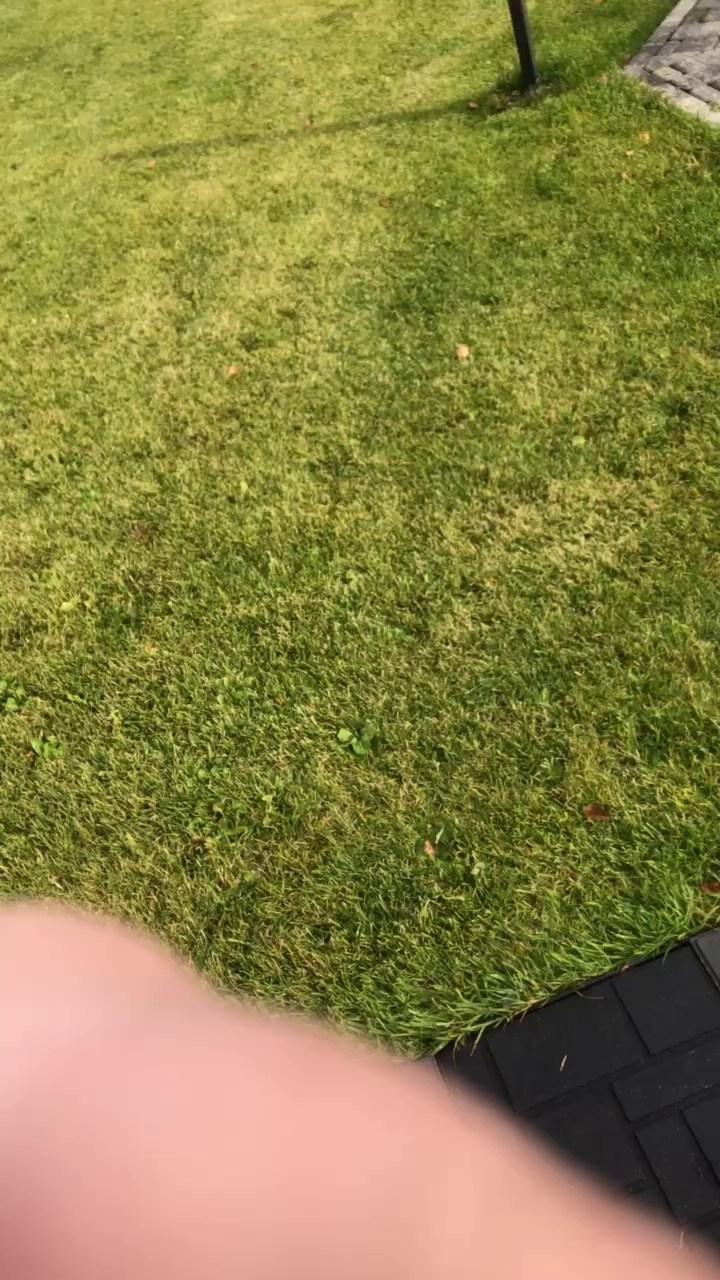 Лесной Дух. DRONBERRY — Аэросъемка Ярославль