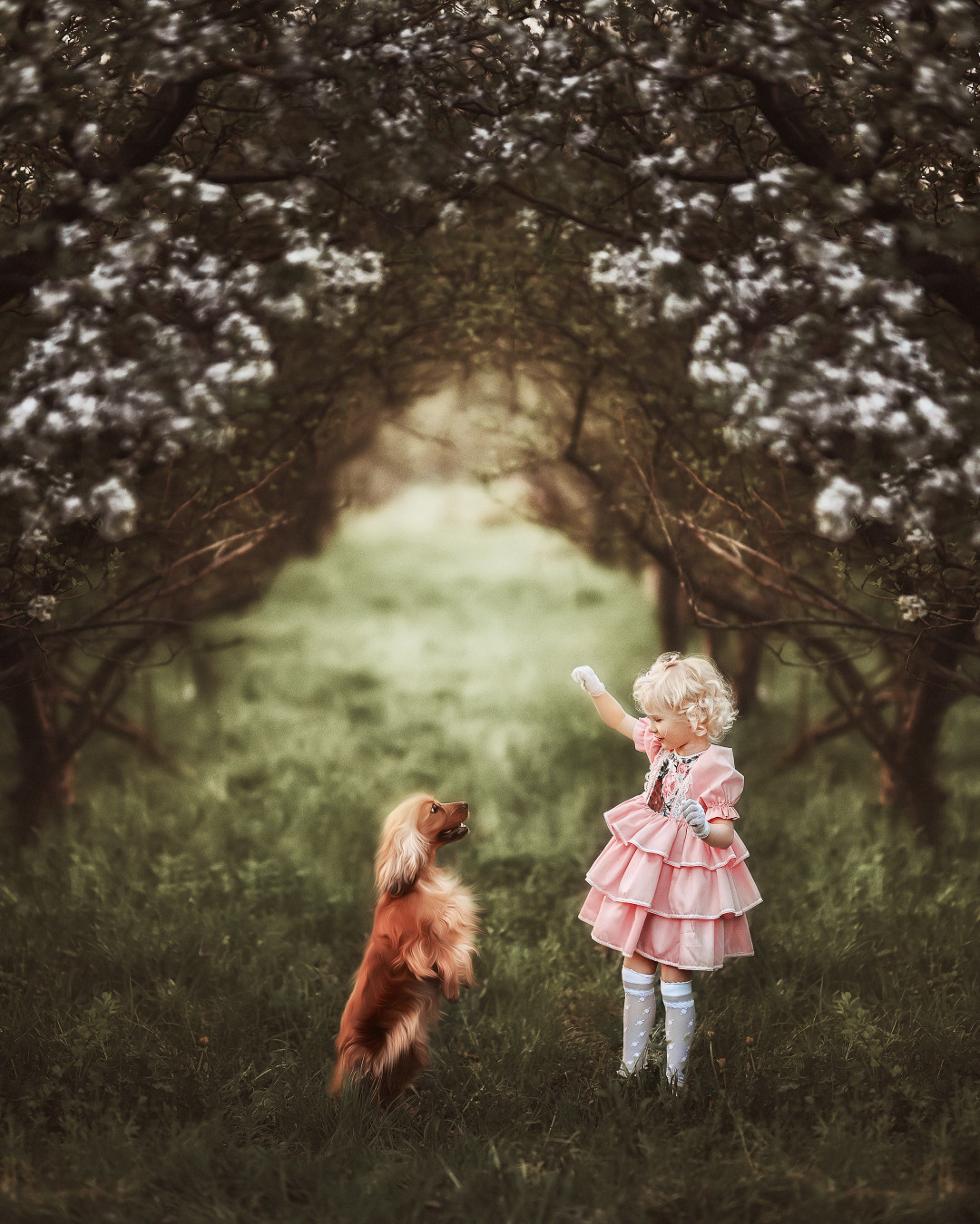 ПРАЙС ФОТОСЕССИИ. ОБУЧЕНИЕ ХУДОЖЕСТВЕННОЙ РЕТУШИ ФОТОГРАФИЙ. ФОТОГРАФ КАРАГАНДА