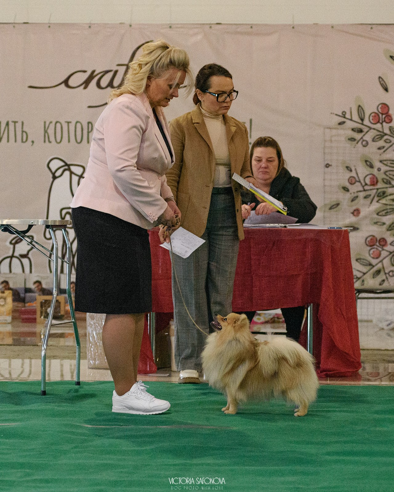 23 марта 2024 Хабаровск. Фотограф анималист Благовещенск. Сафонова Виктория