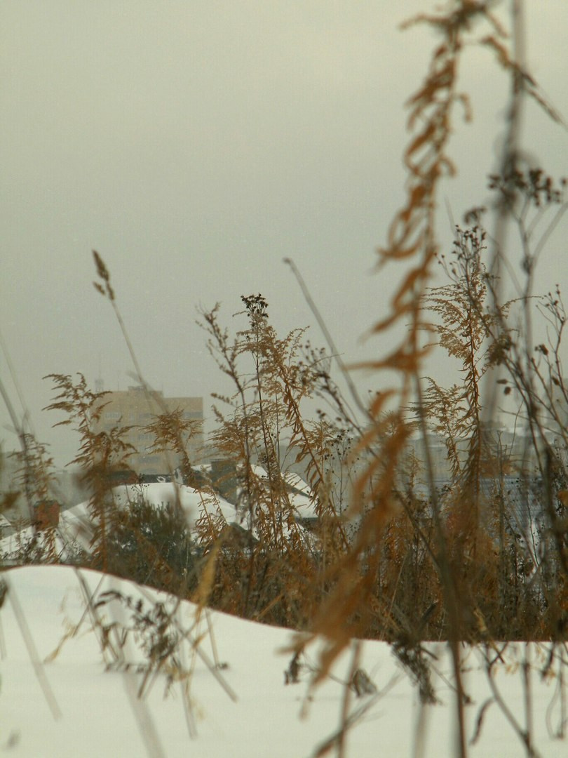 Мои первые работы. Фотограф из Москвы — DASHA NOVA | Авторская фотография в разных жанрах